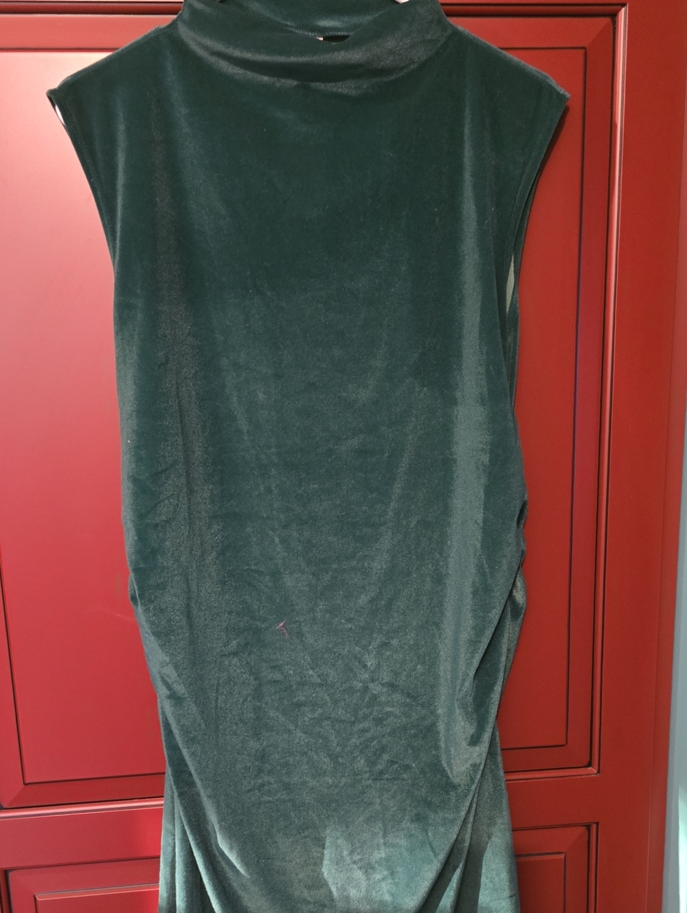 Sleeveless Velvet Mock Neck Top in Dark Green Lg A New Day Sinch Dress